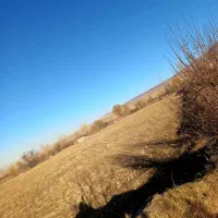 فروش زمین زراعی روستای بالیجا همراه با آب