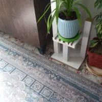 گل طبیعی|گل و گیاه طبیعی|سرپل ذهاب, |دیوار