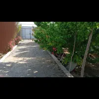 باغ-500متری