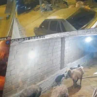 دوربین دید در شب رنگی