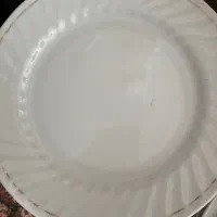 بشقاب پلو خوری