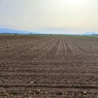 4-2-هکتار-زمین-در-منطقه-آزاد-ارس