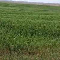 تهاتر با آپارتمان