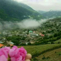 ۲۸۰ متر بافت سند دار سوادکوه زیراب پلسفید|فروش زمین و ملک کلنگی|زیرآب, |دیوار