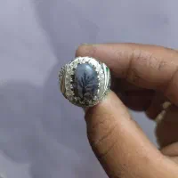 انگشتر شجر ، انگشتر