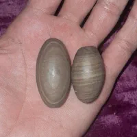 انواع سنگ ومهره.|جواهرات|باوی, |دیوار