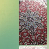 فرش|فرش|قم, شاه ابراهیم|دیوار