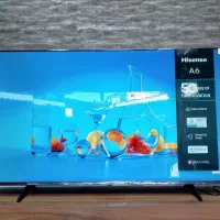 تلویزیون هایسنس|تلویزیون و پروژکتور|بانه, |دیوار