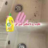 لینکس|مواد شوینده و دستمال کاغذی|سنندج, |دیوار