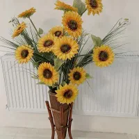 افتابگردان خارجی