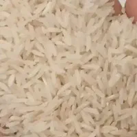 برنج فجر محلی