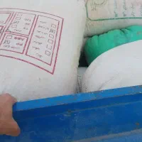 جو ابی درجه یک داخل گونی تحویل درمحل شما