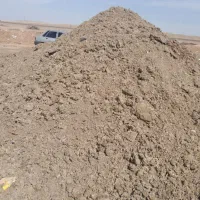 کودمرغ