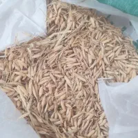 جوهاشمی گرم خشک  فروش فوری