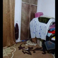 موکت و گلیم|گلیم، جاجیم، گبه|بندر ترکمن, |دیوار