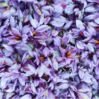 زعفران اعلا