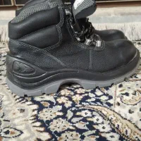 پوتین،کارآک