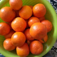 نارنج تازه وابدار