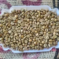استخدام کارشناس فروش و پشتیبانی فروش