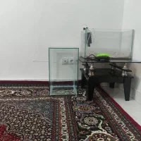 لوازم اکواریم