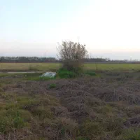 زمین بافت مسکونی جاده آمل فریدونکنار|فروش زمین و ملک کلنگی|دابودشت, |دیوار