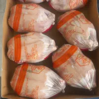 مرغ منجمد عمده