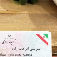 پیدا شده