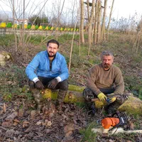 خرید انواع چوب صنوبر وجنگلی|خدمات باغبانی و درختکاری|لنگرود, |دیوار