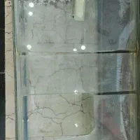 آکواریم کاملا سالم و تمیز|ماهی|تهران, گلستان (شهرک راه آهن)|دیوار