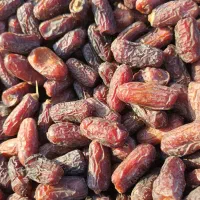 فروش تناژ خرما پیارم