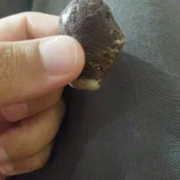 سنگ|جواهرات|سردشت, |دیوار