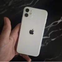 iPhone 11normal 128|موبایل|مشهد, عبادی|دیوار