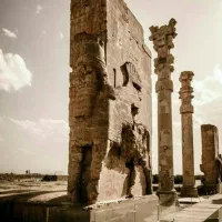 پارتنر مهاجرت