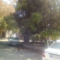 فروش خیلی فوری زمین هشتگرد جدید کرج