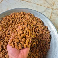 فروش بادام|عمدهفروشی|بن, |دیوار