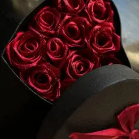 قلبی ناز450تومن