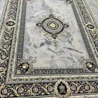 فرش فربود میدان بیمارستان|فرش|داراب, |دیوار