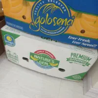 جعبه موز قوطی