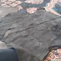 چرم حیوانی