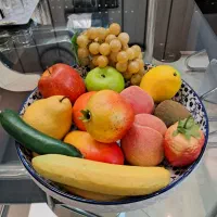 ۱۵ عدد میوه مصنوعی