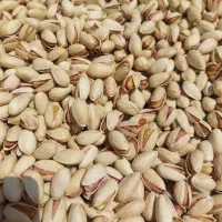 فروش عمده پسته