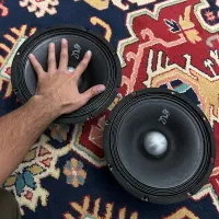 میدرنج سایز ۱۰ دراگون