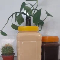 عسل نخل و معجون ارگانیک درمان مشکلات جنسی اقایان|خوردنی و آشامیدنی|همدان, |دیوار