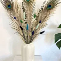 پر طاووس طبیعی