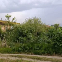 فروش زمین