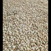 بادام زمینی کره گیری درجه یک