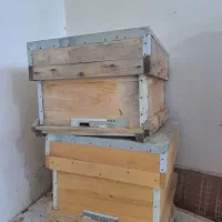 کندو|لوازم جانبی حیوانات|ثلاث باباجانی, |دیوار