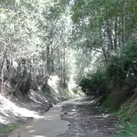 زمین کشاورزی  به متراژ  ۳۷۰۰ متر
