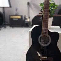 گیتار هافنر پیکاپدار با پیکاپ فیشمن