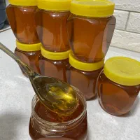 عسل|خوردنی و آشامیدنی|قرچک, باقرآباد|دیوار